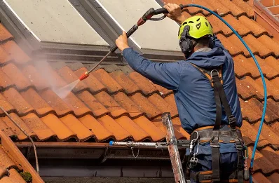 Démoussage et hydrofuge de toiture à Mesplède